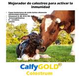 CalfyGold Colostrum