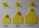 Aretes de identificación animal 