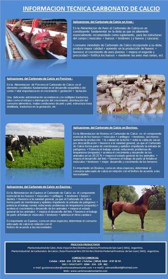 Carbonato de Calcio Nutrición Animal ( Gallos de Pelea)
