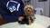 Cachorritos York Shaire Terrier