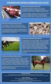 Carbonato de Calcio Nutricion Animal (Porcicultura)