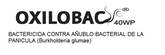 OXILOBAC 40 wp (Acido Oxolinico)