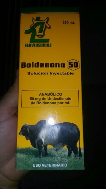5 formas infalibles de Vemox 500 que impulsarán su negocio hacia el suelo