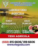 YESO  AGRICOLA  APLICACION AL SUELO  Y POR SISTEMA DE GOTEO