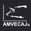 XXIX Congreso Internacional AMVECAJ 2023