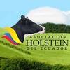 Feria Holstein 2015