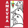 Amevea Perú 2013 VII Seminário Internacional