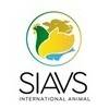 SIAVS 2026