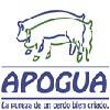 XXXII Congreso Porcicultura de Guatemala APOGUA 2025