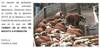 Instalaciones en Bovinos de carne: corrales y bretes