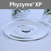 Phyzyme® XP TPT 10000