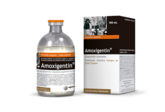 Amoxigentin®