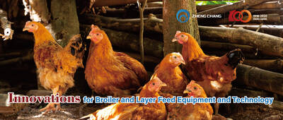 Innovations for Broiler and Layer Feed Equipment and Technology