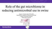 Role of the gut microbiome in reducing antimicrobial use in swine
