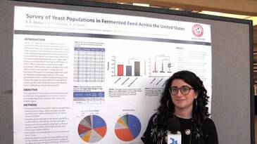 Survey of yeast populations in fermented feed across the United States