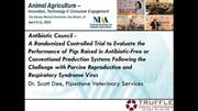 A Randomized Controlled Trial to Evaluate the Performance of Pigs Raised in AB-Free or Conventional System after PRRS Challenge