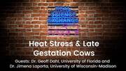 Heat Stress and Late Gestation Cows - Real Science Exchange