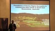 Prevalence of Bovine Digital Dermatitis in Commercial Dairy Herds in South East Queensland, Australia