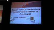 Dr. Fairbrother explains trends in virulence and antimicrobial resistance of E. coli in pigs