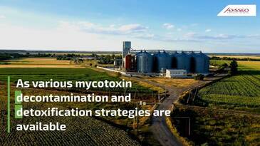 Physical strategies to manage mycotoxin contamination