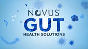 Novus Gut Health Solutions