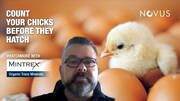 Optimize your unhatched chick’s potential through better breeder performance
