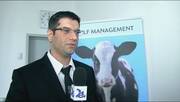 Health Optimizing points in calves. Valentin Nenov (Phileo Lesaffre)