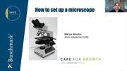How to set up a microscope