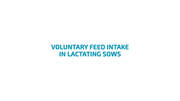 Voluntary feed intake of lactating sows