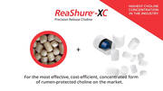Highest Choline Concentration In The Industry: Reashure-XC