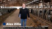 Dairy Farm Success Story using Choline - ReaShure-XC