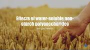 Effects of Water-Soluble non-starch polysaccharides on gut health