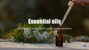 Essential oils: Mechanism of action on pathogenic bacteria