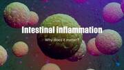 Intestinal inflammation, why does it matter?