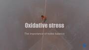Oxidative stress: The importance of redox balance