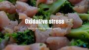 Oxidative stress, implications to meat quality