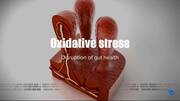 Oxidative stress: Disruption of gut health