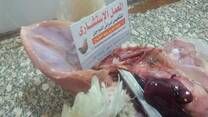 B.C bronchial cast at tracheal bifurcation from my poultry secrets book
