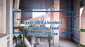 A Safe and Efficient Feed Production Line Built in Egypt