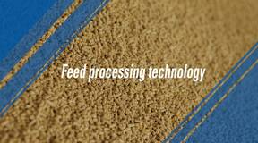 The effect of feed processing technology on the safety of feed