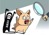 Say “NO” to African swine fever!