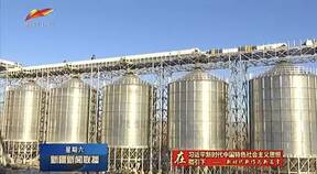 Jingang bulk grain railway conveying project