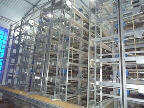 Battery Cages 8Tiers 3 Rows first time in india