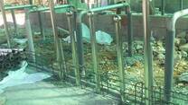 Tiestall at construction stage