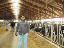 Dairying in US