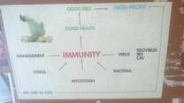 factor affecting immune system of birds