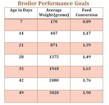 broiler performance goal