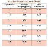 broiler performance goal