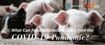 What Can Feed Enterprises Learn from the COVID-19 Pandemic?