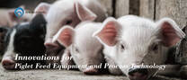 Innovations for Piglet Feed Equipment and Process Technology
